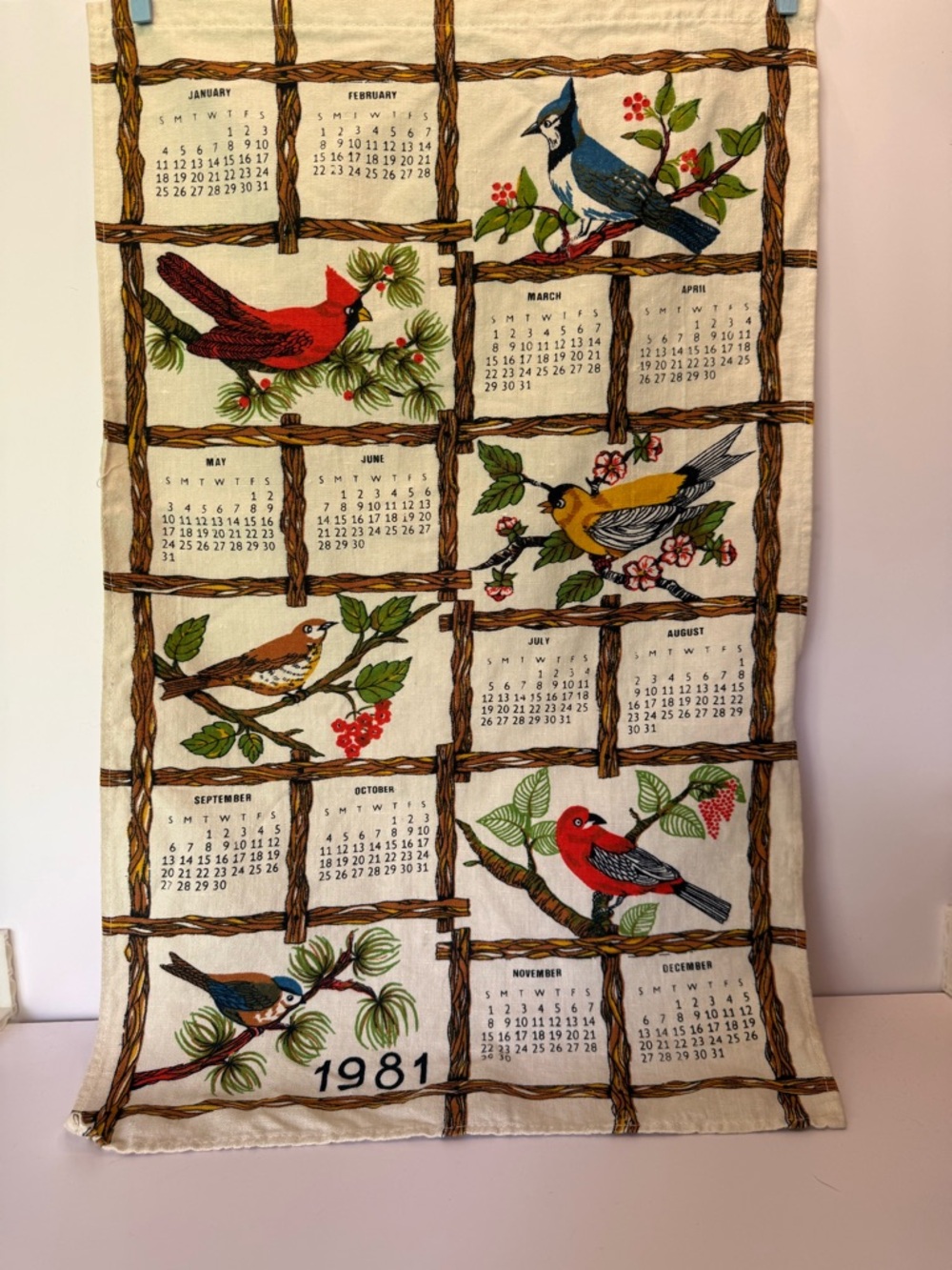Vintage 1981 Bird Calendar Tea Towel with Colorful Bird Illustrations Retro MCM